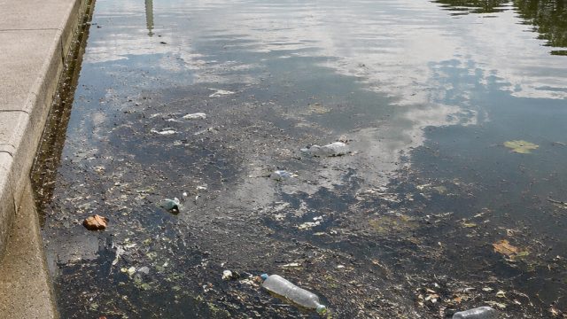 Reflecting Pool Underfire: Environmental Concerns and Vandalism Allegations