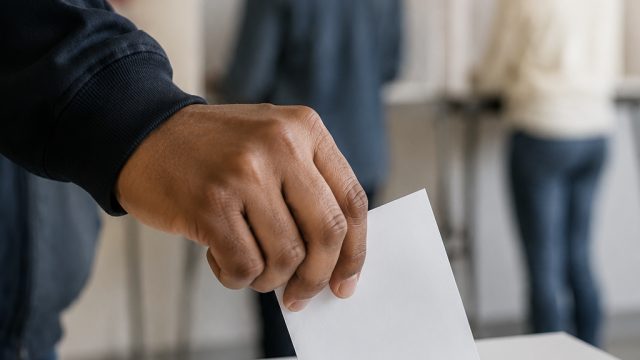 Insights from the 2026 Primary Election: What Voters Need to Know | induk intern