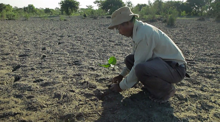 An Indian islander has been planting trees for 35 years and turned 550 hectares of deserted island into a forest--top emoticon